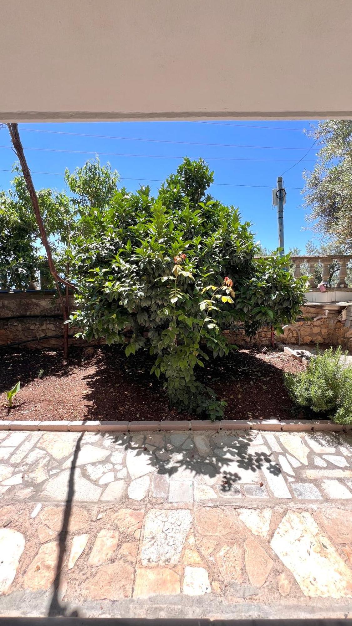 Petra Oliva Apartment Dhërmi Eksteriør bilde